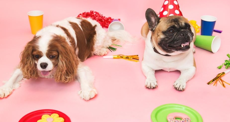 Perchè (non) regalare un cucciolo per Natale