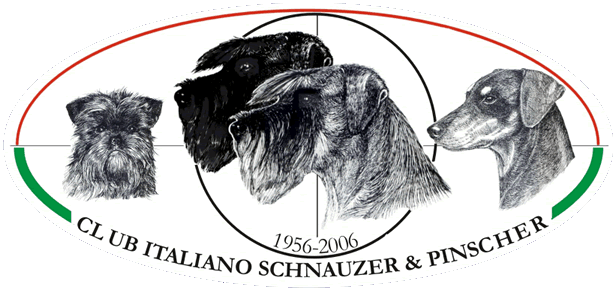 Allevare gli schnauzer: studi e prospettive