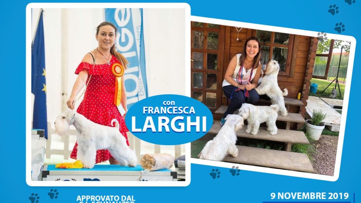 Stage di Stripping dello Schnauzer con Francesca Larghi