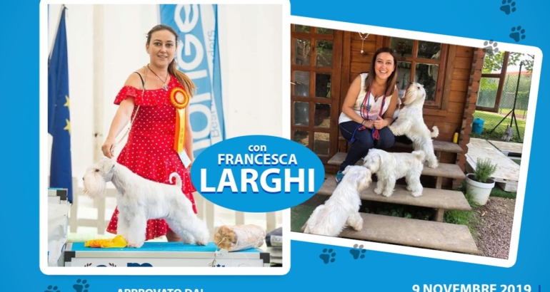 Stage di Stripping dello Schnauzer con Francesca Larghi