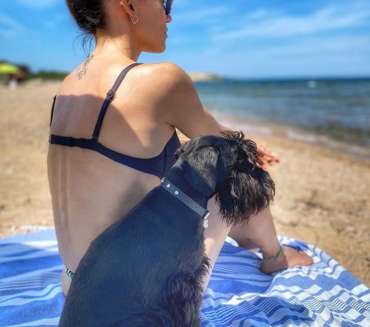 Schnauzer nani in vacanza: avventure estive e il ritorno alla routine.