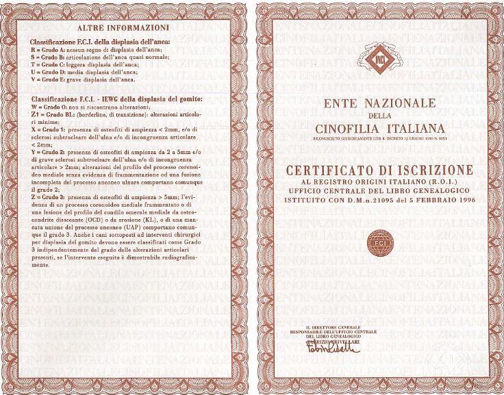 L’importanza del Pedigree